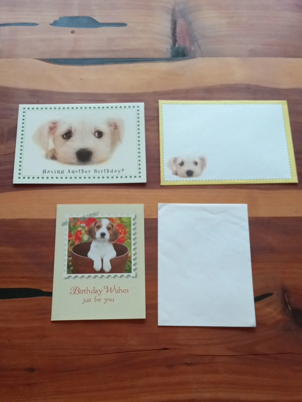 Set of 6 Puppy Birthday Greeting Cards With Envelopes